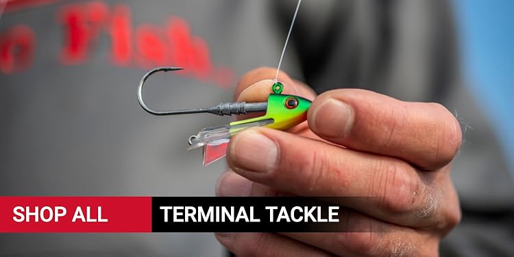 Fishing rod and reel